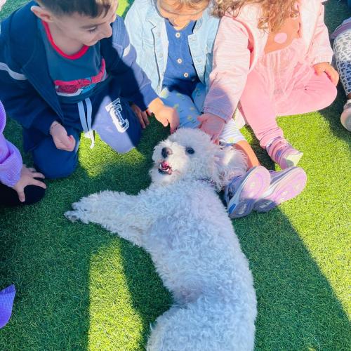 Snupy Bari - Scuola dell'infanzia e Centro sportivo