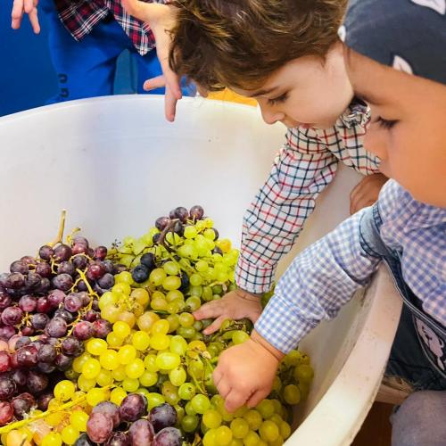Snupy Bari - Scuola dell'infanzia e Centro sportivo